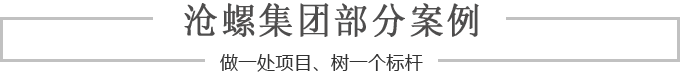 部分經(jīng)典案例